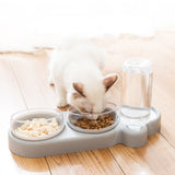 Alimentador com dispenser automático de água para cães e gatos