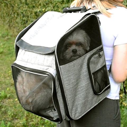 Mochila de transporte para cães e gatos SJ-01 de ombro respirável para viagem