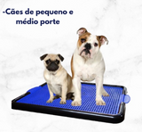 Sanitário Canino